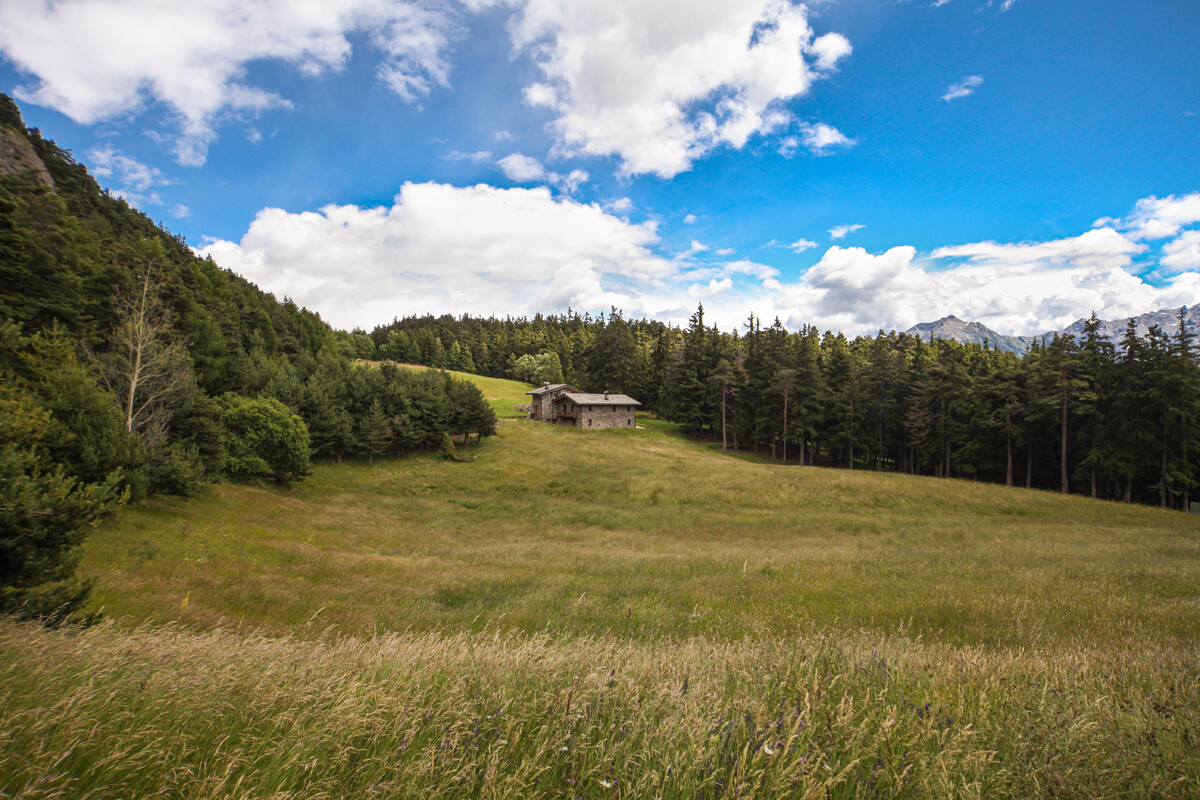 VALLE D'AOSTA-Ostello Lavesé (foto Enrico Romanzi)-5824