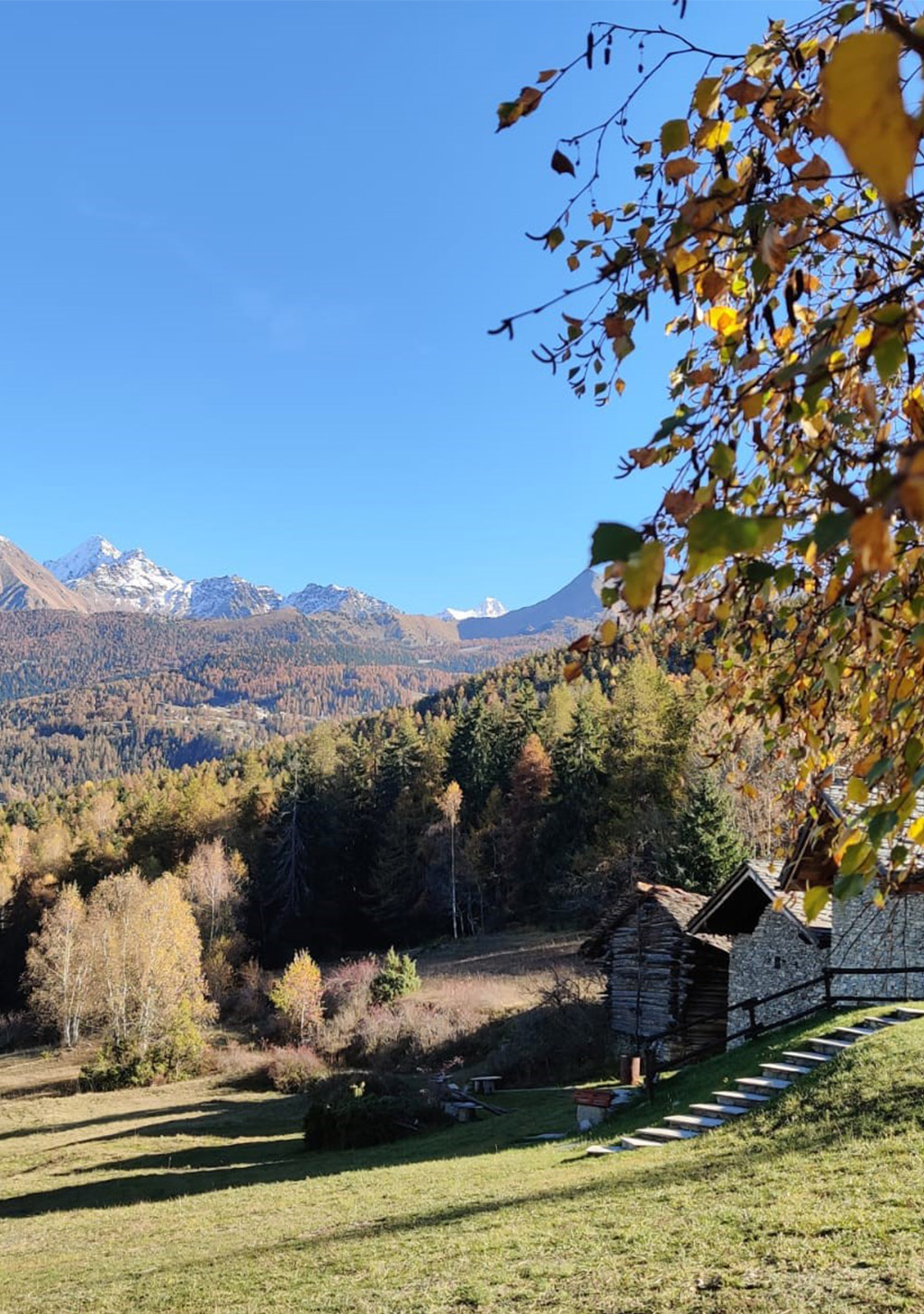 Prato di Saint-Nicolas